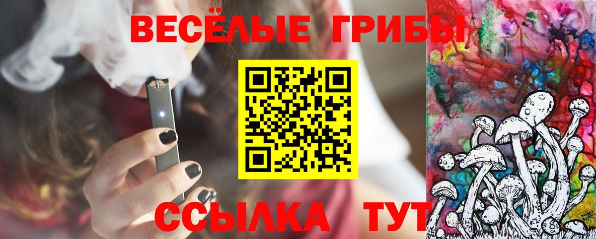 Пятигорск  Галлюциногенные грибы мухоморы  Вход с VPN 