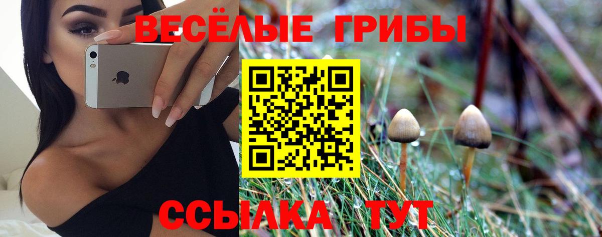 Галлюциногенные грибы мухоморы Пятигорск
